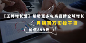 (4264期)【王牌增长营】帮助更多电商品牌全域增长,月销百万实操干货,价值899元-创客云联盟