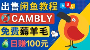 (4481期)闲鱼赚钱小技巧,每单净赚10元,日赚100元 – 出售Cambly注册教程-创客云联盟