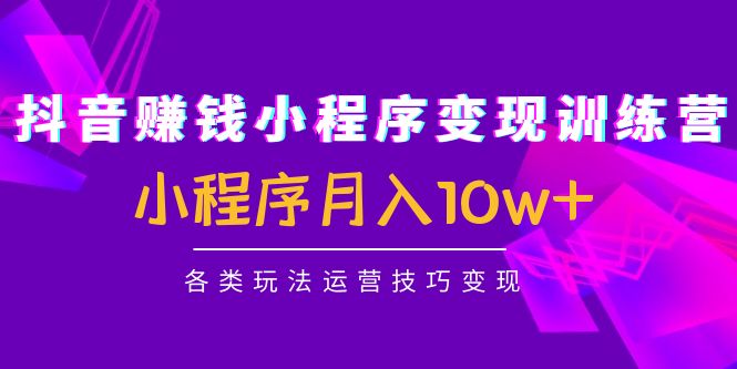 （4511期）抖音赚钱小程序变现训练营：小程序月入10w+各类玩法运营技巧变现-创客云联盟