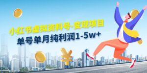 (4530期)小红书虚拟资料号-变现项目:单号单月纯利润1-5w+实操玩法分享-创客云联盟