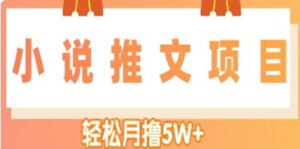 （4554期）小说推文副业赚钱项目，另类进阶玩法，轻松月撸5W+-创客云联盟