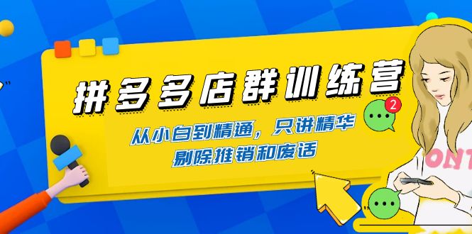 （4318期）拼多多店群训练营：从小白到精通，只讲精华，剔除推销和废话-创客云联盟