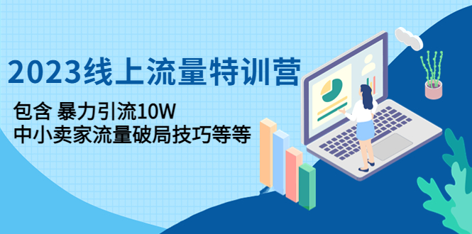 （4567期）2023线上流量特训营：包含暴力引流10W+中小卖家流量破局技巧等等-创客云联盟