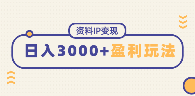 （4576期）资料IP变现，能稳定日赚3000起的持续性盈利玩法-创客云联盟