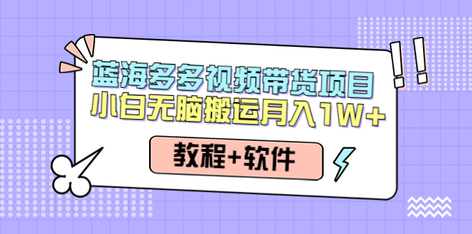 （4343期）人人都能操作的蓝海多多视频带货项目 小白无脑搬运月入10000+（教程+软件）-创客云联盟