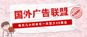 (4662期)外面收费1980最新国外LEAD广告联盟搬砖项目,单号一天至少30美金(详细教程)-创客云联盟