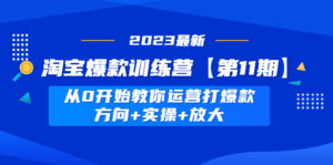 (4784期)淘宝爆款训练营【第11期】 从0开始教你运营打爆款,方向+实操+放大-创客云联盟