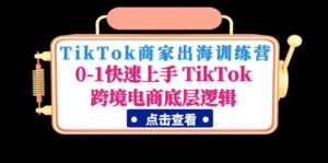 （4795期）TikTok商家出海训练营：0-1快速上手 TikTok跨境电商底层逻辑(无中创水印)-创客云联盟