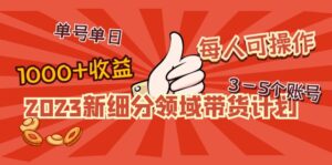 (4827期)2023新细分领域带货计划:单号单日1000+收益不难,每人可操作3-5个账号-创客云联盟