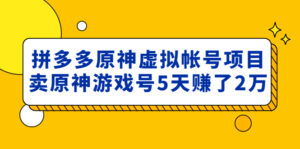 （4860期）外面卖2980的拼多多原神虚拟帐号项目：卖原神游戏号5天赚了2万-创客云联盟