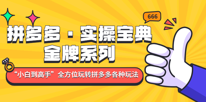 （4934期）拼多多·实操宝典：金牌系列“小白到高手”带你全方位玩转拼多多各种玩法-创客云联盟