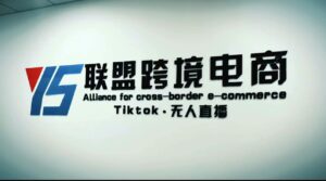 （5016期）Tiktok无人直播，不出镜不剪辑不拍摄不发货无售后的跨境短视频躺赚玩法-创客云联盟