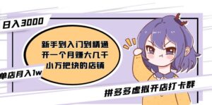 （5023期）拼多多虚拟开店打卡群：入门到精通（昨日群里有小伙伴日入3000+）2月26更新-创客云联盟