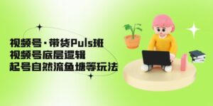 （5027期）视频号·带货Puls班，视频号底层逻辑，起号自然流鱼塘等玩法-创客云联盟