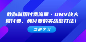 (5106期)教你利用付费流量·GMV放大,微付费、纯付费的实战型打法!-创客云联盟