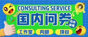 (5108期)最新工作室内部国内问卷调查项目 单号轻松日入30+多号多撸【详细教程】-创客云联盟