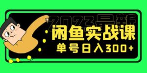 (5117期)花599买的闲鱼项目:2023最新闲鱼实战课,单号日入300+(7节课)-创客云联盟