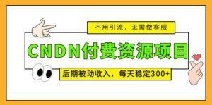 (5137期)CNDN付费资源项目,不用引流,无需做客服,后期被动收入,每天稳定300+-创客云联盟