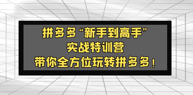 （5173期）拼多多“新手到高手”实战特训营：带你全方位玩转拼多多！-创客云联盟