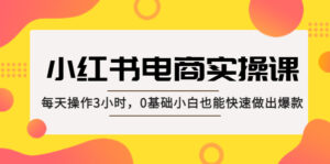 （5190期）小红书·电商实操课：每天操作3小时，0基础小白也能快速做出爆款！-创客云联盟