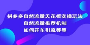 （5327期）拼多多自然流量天花板实操玩法：自然流量推荐机制，如何开车引流等等-创客云联盟