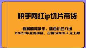 （5346期）2023爆火的快手网红IP切片，号称日佣5000＋的蓝海项目，二驴的独家授权-创客云联盟