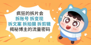 （5489期）疯狂的拆片会：拆账号 拆变现 拆文案 拆拍摄 拆剪辑  揭秘博主的流量密码-创客云联盟