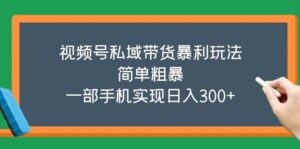 （5544期）视频号私域带货暴利玩法，简单粗暴，一部手机实现日入300+-创客云联盟