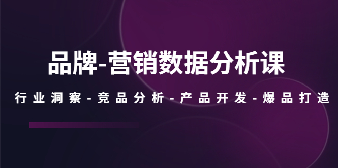 （5565期）品牌-营销数据分析课，行业洞察-竞品分析-产品开发-爆品打造-创客云联盟