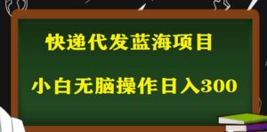 （5573期）2023最新蓝海快递代发项目，小白零成本照抄也能日入300+（附开户渠道）-创客云联盟
