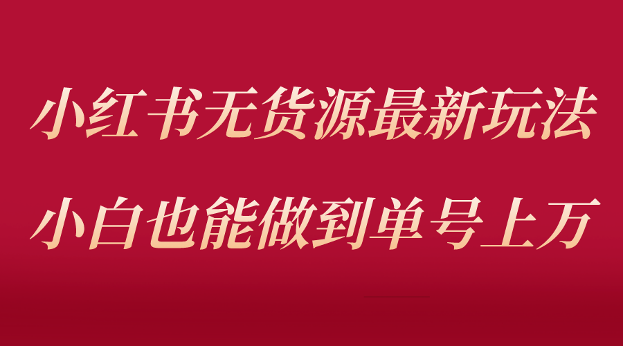 （5646期）小红书无货源最新螺旋起号玩法，电商小白也能做到单号上万（收费3980）-创客云联盟