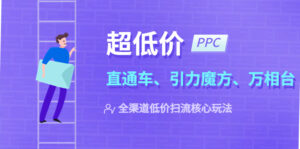 （5659期）2023超低价·ppc—“直通车、引力魔方、万相台”全渠道·低价扫流核心玩法-创客云联盟