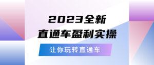 （5714期）2023全新直通车·盈利实操：从底层，策略到搭建，让你玩转直通车-创客云联盟