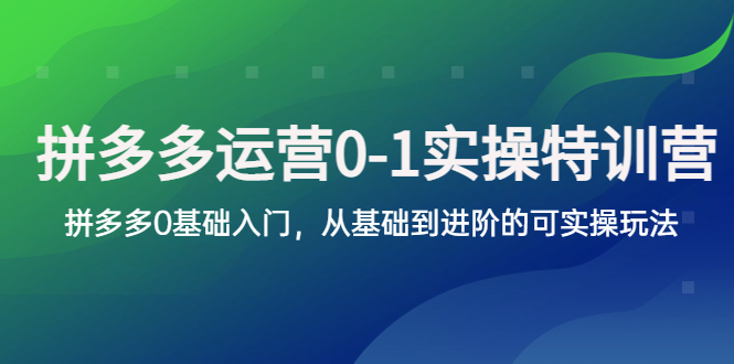 （5747期）拼多多-运营0-1实操训练营，拼多多0基础入门，从基础到进阶的可实操玩法-创客云联盟