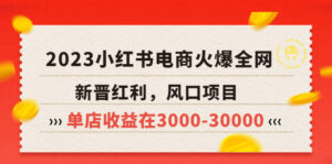 (5840期)2023小红书电商火爆全网,新晋红利,风口项目,单店收益在3000-30000!-创客云联盟