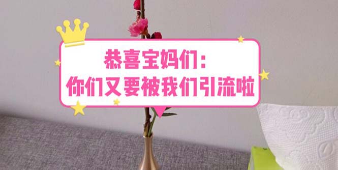 （5891期）恭喜宝妈们：你们又要被我们引流了（教程+222g资料）-创客云联盟