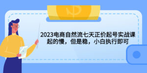 （5956期）2023电商自然流七天正价起号实战课：起的慢，但是稳，小白执行即可！-创客云联盟