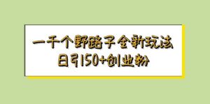 （5960期）一千个野路子全新玩法 日引50+创业粉-创客云联盟