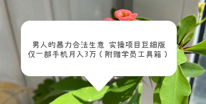 （5962期）男人的暴力合法生意实操项目巨细版：仅一部手机月入3w（附赠学员工具箱）-创客云联盟