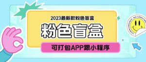 （5998期）2023最新款数码盲盒搭建，可打包app【源码+教程】-创客云联盟