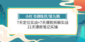 (6016期)小红书训练营/第九期:7天定位实战+7天爆款拆解实战,21天爆款笔记实操-创客云联盟