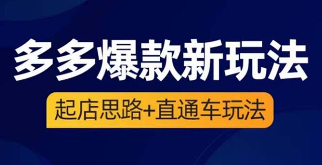 （6028期）2023拼多多爆款·新玩法：起店思路+直通车玩法（3节精华课）-创客云联盟