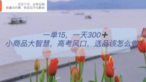 （6077期）一单15，一天300+，小商品大智慧，高考风口，选品该怎么布局-创客云联盟