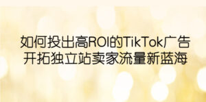 (6102期)如何投出高ROI·TikTok广告,开拓独立站卖家流量新蓝海-创客云联盟