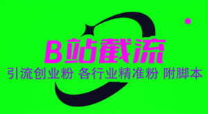 （6133期）B站截流 引流创业粉 各行业精准粉 附脚本-创客云联盟