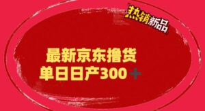 （6142期）外面最高收费到3980 京东撸货项目 号称日产300+的项目（详细揭秘教程）-创客云联盟