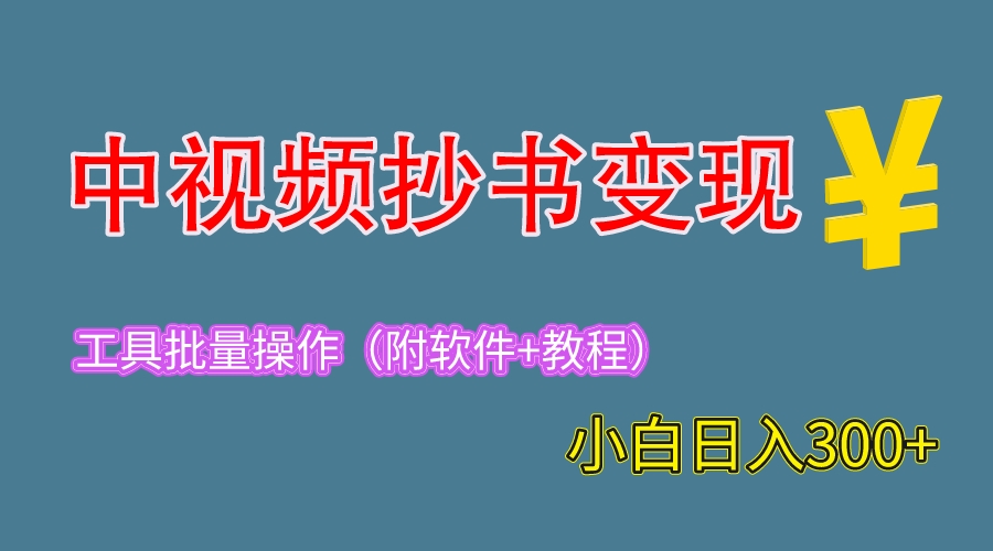 （6246期）2023中视频抄书变现（附工具+教程），一天300+，特别适合新手操作的副业-创客云联盟