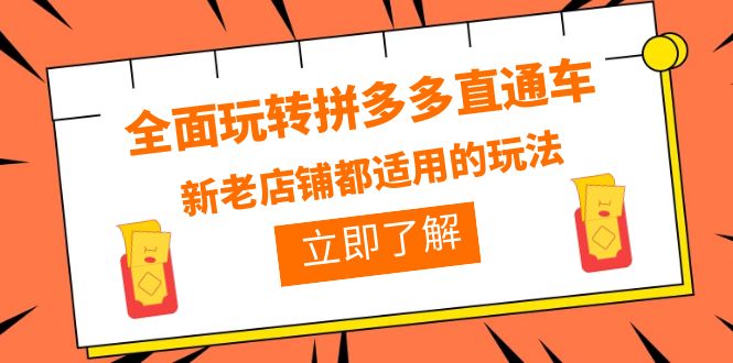（6294期）全面玩转拼多多直通车，新老店铺都适用的玩法（12节精华课）-创客云联盟