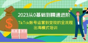 (6299期)2023从0基础到精通进阶,TikTok账号运营到变现的全流程出海模式培训-创客云联盟