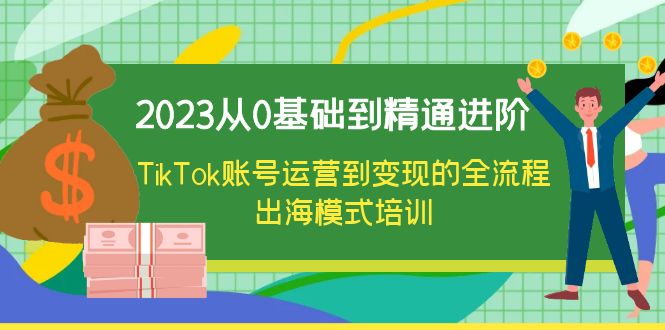 （6299期）2023从0基础到精通进阶，TikTok账号运营到变现的全流程出海模式培训-创客云联盟